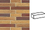 Кирпич клинкерный Muhr 19 Rubinbeige nuanciert гладкий, 290*60*40 мм