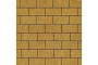 Плитка тротуарная SteinRus Прямоугольник Лайн Б.6.П.6 Native, желтый, 200*100*60 мм