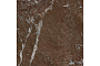 Керамогранит Gresse Simbel espera, GRS05-26, 600*600*10 мм