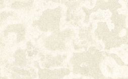 Фиброцементная панель CLADBOARD натуральная, белая, 3050*1220*10 мм