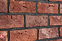 Кирпич облицовочный Rightbrick Моне, 210*100*65 мм