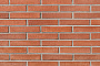 Кирпич клинкерный Plinfa Iron 2319, 270*85*50 мм