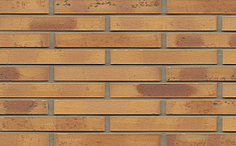Кирпич клинкерный Muhr 06 K Hellbraun-bunt Kohle гладкий, 290*90*40 мм