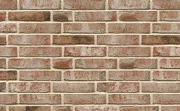 Кирпич облицовочный Muhr Nr 31, Alt Maasbrand, 210*100*50 мм
