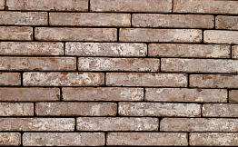 Кирпич облицовочный Terca Metropolis Civitas, 240*65*40 мм