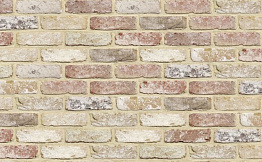 Кирпич облицовочный Terca Oud Torhout, 215*102*65 мм
