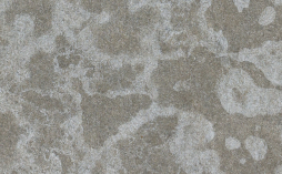 Фиброцементная панель CLADBOARD натуральная, светло-серая, 2440*1220*15 мм