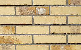Кирпич облицовочный Terca Sussex Multi Gesinterd 210*100*50 мм