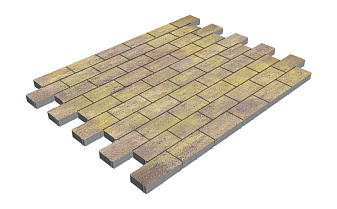 Плитка тротуарная SteinRus Прямоугольник А.6.П.4, гладкая, Тахель, 200*100*40 мм