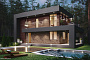 Кирпич клинкерный Plinfa Iron 2810, 270*85*50 мм
