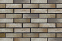 Кирпич BRAER PRO 14.04.1, 250*120*65 мм