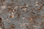Хризотилцементная панель Nova facade P-408, 3000*1500*8 мм