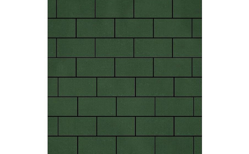 Плитка тротуарная SteinRus Прямоугольник А.6.П.4 гладкая, оливковый, 200*100*40 мм