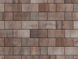 Плитка тротуарная Прямоугольник Б.2.П.6 листопад гладкий клен, 200*100*60 мм 