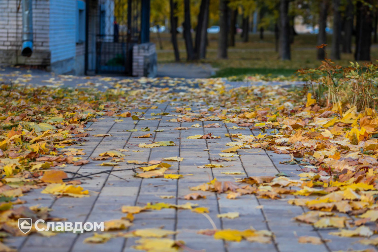 Плитка тротуарная Старый город Б.1.Ф.6см Искусственный камень Доломит