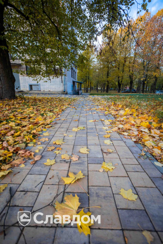 Плитка тротуарная Старый город Б.1.Ф.6см Искусственный камень Доломит
