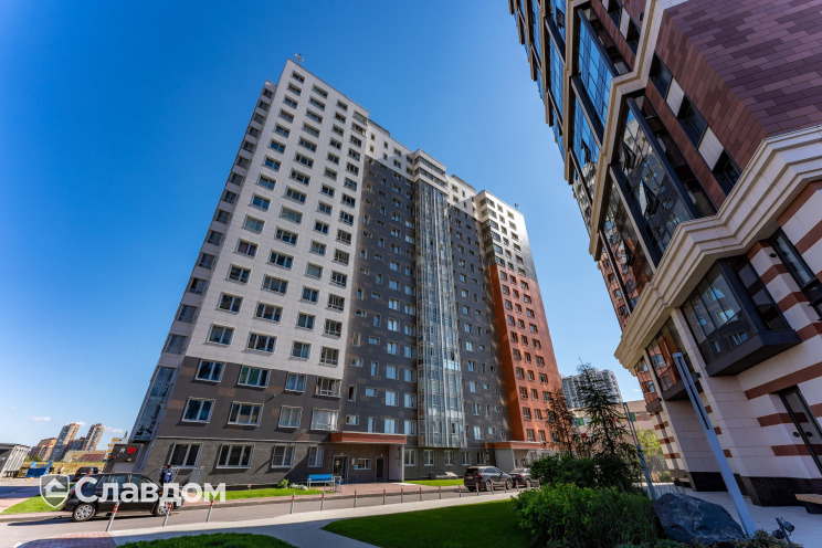 Держатель для лаги Level Top