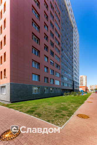 Держатель для лаги Level Top