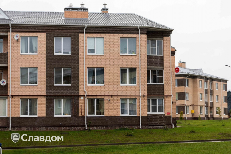 Держатель для лаги Level Top