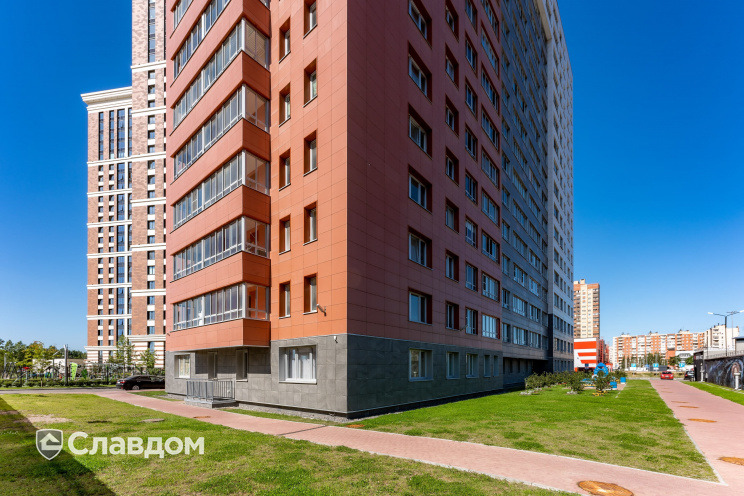 Держатель для лаги Level Top