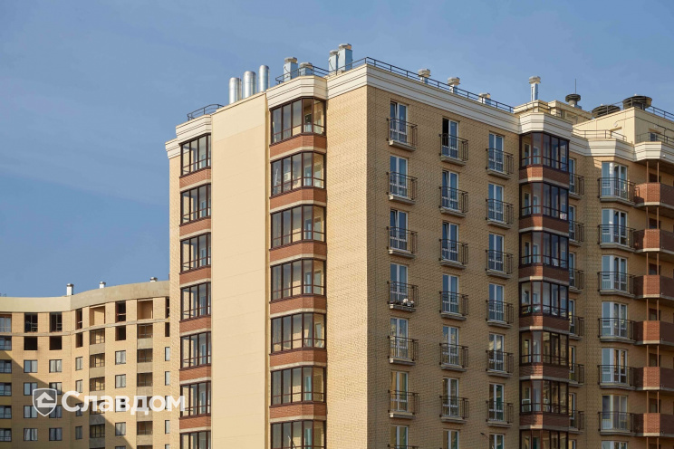 Держатель для лаги Level Top