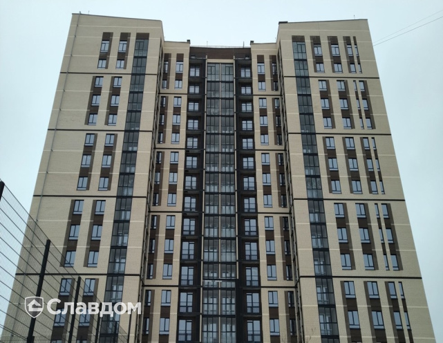 Кирпич облицовочный Богандинский КЗ Романов, 210*100*65 мм