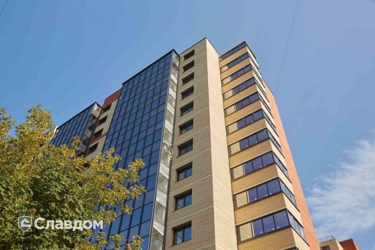 Держатель для лаги Level Top