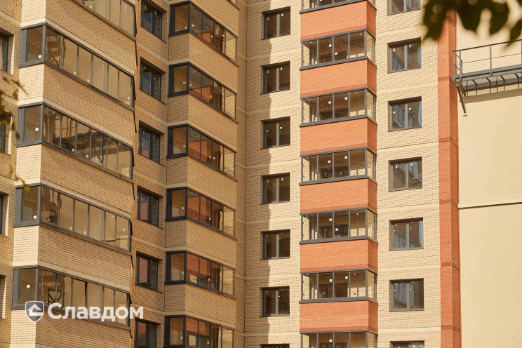 Держатель для лаги Level Top