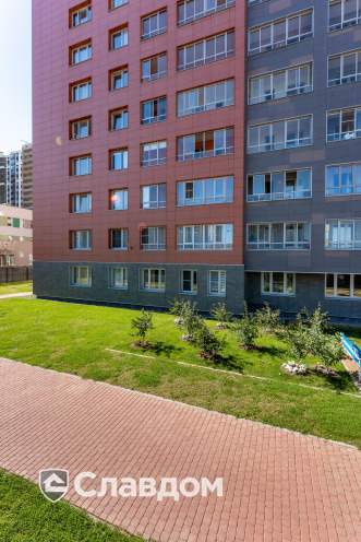 Держатель для лаги Level Top