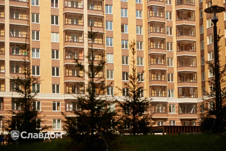 Держатель для лаги Level Top