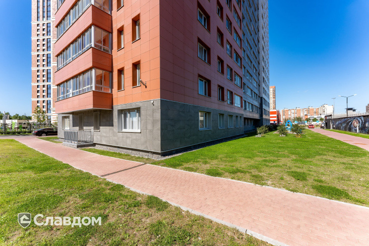 Держатель для лаги Level Top