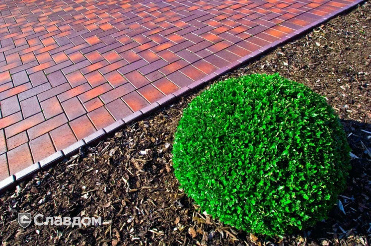 Адгезионная грунтовка Bergauf BETON KONTAKT, 7 кг