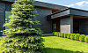 Кирпич клинкерный Muhr 15 Schwarz-bunt Edelglanz гладкий, 290*90*40 мм