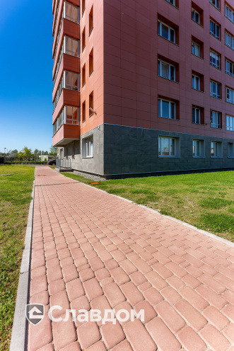 Держатель для лаги Level Top