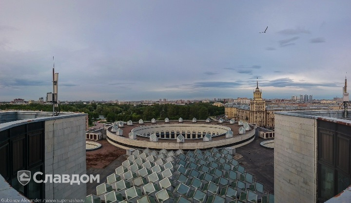 Держатель для лаги Level Top