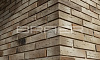 Кирпич BRAER PRO 14.04.1, 250*120*65 мм
