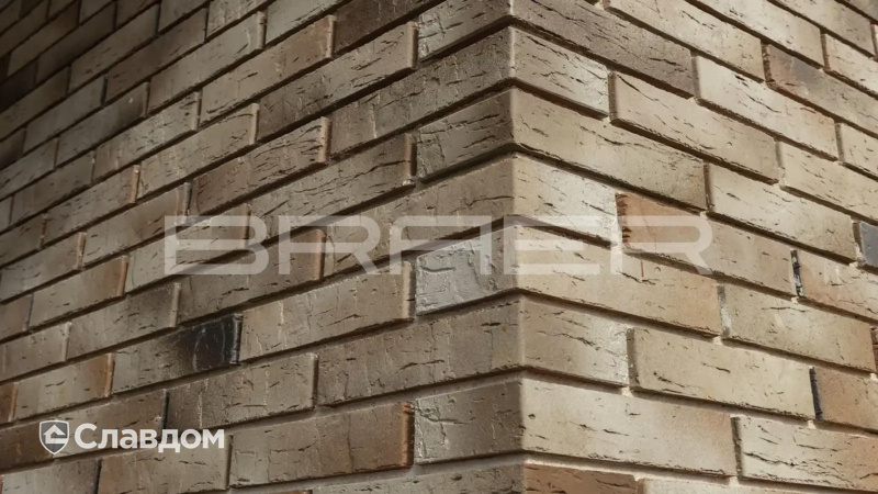 Кирпич BRAER PRO 14.04.1, 250*120*65 мм