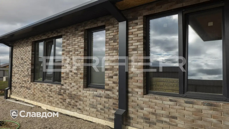Кирпич BRAER PRO 14.04.1, 250*120*65 мм