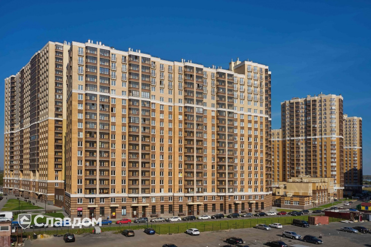 Держатель для лаги Level Top