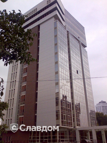 Держатель для лаги Level Top