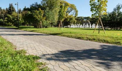 Благоустройство Любашинского сада в Санкт-Петербурге